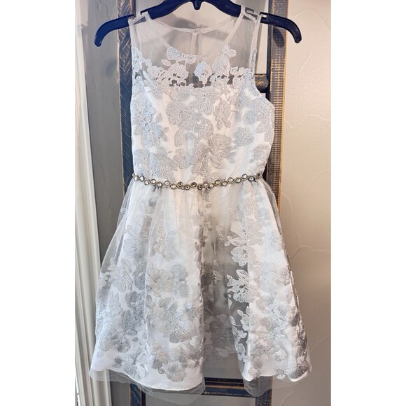 Rare Editions White and Silver Embroidered Flowers Net Dress Size Youth 14 - Picture 1 of 12